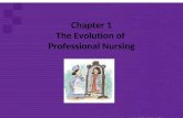 84195196 Chapter 1 History of Nursing