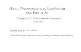 Neuroscience Chapter 12 Notes