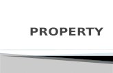Property - Review