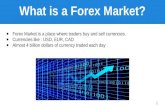 Introduction to [Forex Trading]
