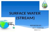 Surface Water (Stream)