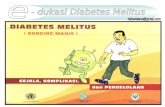 20712711 Edukasi Diabetes Melitus Ppt