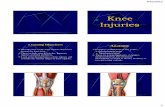 Knee Injury Lecture 2012