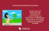 Dysfunctional Elimination Syndrome Vincenzo Galati, D.O. Stephen Confer, MD Ben O. Donovan, MD Brad Kropp, MD Dominic Frimberger, MD University of Oklahoma.