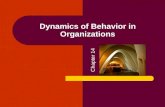 Dynamics of Behavior in Organizations Chapter 14.