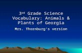 3 rd Grade Science Vocabulary: Animals & Plants of Georgia Mrs. Thornburgs version.