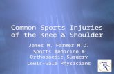 Common Sports Injuries of the Knee & Shoulder James M. Farmer M.D. Sports Medicine & Orthopaedic Surgery Lewis-Gale Physicians James M. Farmer M.D. Sports.