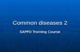 Common diseases 2 SAPPO Training Course. Contents Skin problems Skin problems Diarrhoea/gastro-intestinal problems Diarrhoea/gastro-intestinal problems.