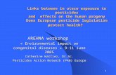 1 Links between in utero exposure to pesticides and effects on the human progeny Does European pesticide legislation protect health? AREHNA workshop «