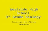 Westside High School 9 th Grade Biology Crossing the Plasma Membrane.
