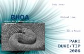 BHOA Black Hole Observations in Andromeda Indy Jones Micheal Lowe Danja Mewes PARI DUKE/TIP 2006.