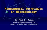 Fundamental Techniques in Microbiology Dr Paul D. Brown paul.brown@uwimona.edu.jm BC10M: Introductory Biochemistry.