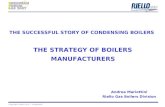Copyright Riello S.p.A. - confidential Andrea Mariottini Riello Gas Boilers Division THE SUCCESSFUL STORY OF CONDENSING BOILERS THE STRATEGY OF BOILERS.