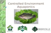 Controlled Environment Aquaponics. What is aquaponics? Aquaponics is an integrated system that combines hydroponics and aquaculture. In an aquaponics.
