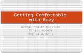 Global Health Elective Ethics Module Brenda Watkins Getting Comfortable with Grey.