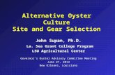 Alternative Oyster Culture Site and Gear Selection John Supan, Ph.D. La. Sea Grant College Program LSU Agricultural Center Governors Oyster Advisory Committee.