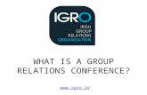 WHAT IS A GROUP RELATIONS CONFERENCE? .