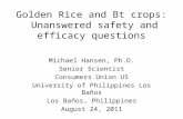 Golden Rice and Bt crops: Unanswered safety and efficacy questions Michael Hansen, Ph.D. Senior Scientist Consumers Union US University of Philippines.
