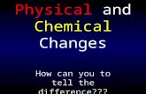 How can you to tell the difference??? Physical and Chemical Changes.