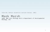 1 Yale-UCL Senior Scientist Lecture Series, 2011 Mark Marsh LMCB, MRC Cell Biology Unit & Department of Developmental Biology, UCL.