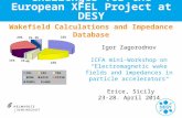 Wakefield Calculations and Impedance Database Challenges for the European XFEL Project at DESY Igor Zagorodnov ICFA mini-Workshop on “Electromagnetic wake.