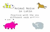 Animal Noises in Latin Practice with the six different verb endings.