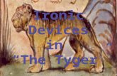 Verbal Irony Tyger! Tyger! burning bright, In the forests of the night, What immortal hand or eye Could frame thy fearful symmetry? In what distant deeps