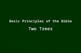 Basic Principles of the Bible Two Trees. Tree of Life Tree of the Knowledge of Good and Evil In the beginning, God made Adam and put him in the Garden.
