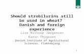 1 Should strobilurins still be used in wheat? Danish and foreign experience Lise Nistrup Jørgensen Karin Thygesen Danish Institute of Agricultural Sciences.