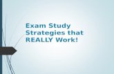 Exam Study Strategies that REALLY Work!. Why Can Studying for Exams Be Such A Challenging Task?  It can be overwhelming to study 5 months worth of material.