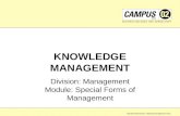 Manfred Bornemann: Wissensmanagement 2013 KNOWLEDGE MANAGEMENT Division: Management Module: Special Forms of Management.