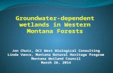 Jen Chutz, DCI West Biological Consulting Linda Vance, Montana Natural Heritage Program Montana Wetland Council March 26, 2014.