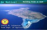 Building Pride on Guam Cheryl M. Calaustro Guam Dept. of Agriculture.