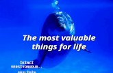 The most valuable things for life İKİNCİ VERSİYONUDUR.. SESLİDİR.