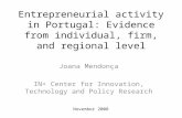 Entrepreneurial activity in Portugal: Evidence from individual, firm, and regional level Joana Mendonça IN+ Center for Innovation, Technology and Policy.