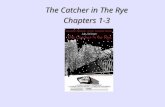 The Catcher in The Rye Chapters 1-3. Holden Narration / Cynical tone –“If you really want to hear about it, the first thing you’ll probably want to know.