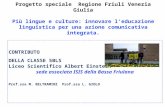 Progetto speciale Regione Friuli Venezia Giulia Più lingue e culture: innovare l’educazione linguistica per una azione comunicativa integrata. CONTRIBUTO.