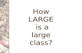 How LARGE is a large class?. Teaching Large Classes: Engaging Students’ Interest CETLA March 20, 2013.