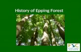 History of Epping Forest. Location of Epping Forest 9 km from central London 4 km wide by 19km long 3, 195.8 Hectares large = 7,897 Acres = 31.96 km 2.