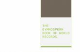 THE GYMNOSPERM BOOK OF WORLD RECORDS!.  Did you know that conifers, which are gymnosperms(non-flowering plants) hold - not one, not two, but THREE world.