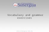 Vocabulary and grammar exercises. VOCABULARY Term-semestar Subject-predmet Assignment-zadatak Course-kurs Tutor-tutor, profesor.