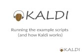 Running the example scripts (and how Kaldi works).