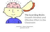 The Learning Brain: Growth Mindset and Effective Effort in the Classroom Jared Peet – History Department jpeet@acs.edu.lb.