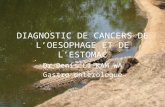 DIAGNOSTIC DE CANCERS DE L’OESOPHAGE ET DE L’ESTOMAC Dr Denis LI KAM WA Gastro enterologue.