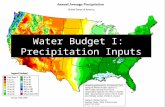 Water Budget I: Precipitation Inputs. Forest Cover.