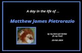 Matthew James Pietrorazio A day in the life of … by my best pal Simba (& my Dad) 20-Feb 2004.