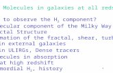 1 Molecules in galaxies at all redshifts 1. How to observe the H 2 component? 2. Molecular component of the Milky Way 3. Fractal Structure 4. Formation.