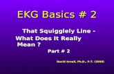 EKG Basics # 2 That Squigglely Line - What Does It Really Mean ? What Does It Really Mean ? Part # 2 David Arnall, Ph.D., P.T. (2000)