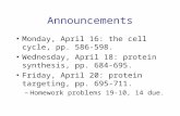 Announcements Monday, April 16: the cell cycle, pp. 586-598. Wednesday, April 18: protein synthesis, pp. 684-695. Friday, April 20: protein targeting,