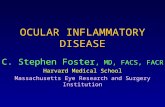 OCULAR INFLAMMATORY DISEASE C. Stephen Foster, MD, FACS, FACR Harvard Medical School Massachusetts Eye Research and Surgery Institution.